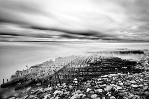 Wreck of the Gale Staples